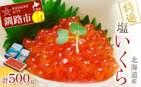 【 北海道 産 】 マルア阿部商店特選 塩 いくら 500 g ふるさと納税 イクラ 魚卵 いくらいくらいくらいくら F4F-7922