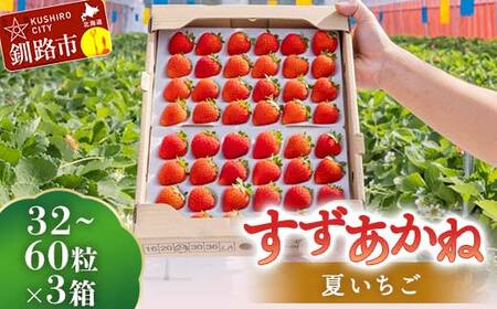 2026�N��s�\�� �k�C���Y������ ���������� 32�`60��×3�� �y2026�N 6���� ���珇�������z �Ă����� �C�`�S � �t���[�c �ʕ� �W���� �X�C�[�c �����p �M�t�g ���Y �k�C�� ���H�s F5F-0093