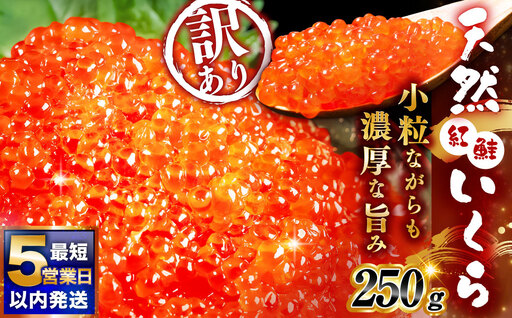 7月発送 紅鮭いくら醤油漬け 250g 冷凍 年末年始 いくら 鮭いくら ご飯のお供 ご飯 米 北海道 釧路市
