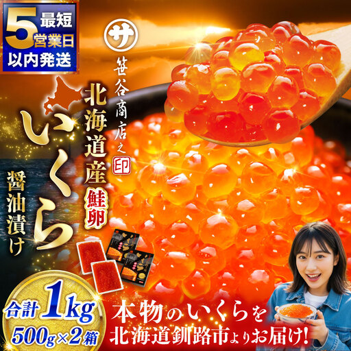 [5営業日以内発送]いくら 500g × 2箱 合計1kg 魚卵 醤油漬け 冷凍 海産物 魚介類 ご飯のお供 海鮮 海鮮丼 国産 北海道産 いくら醤油漬