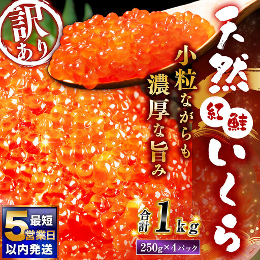 [ 5営業日以内発送 ] 紅鮭いくら醤油漬け 1kg ( 250g × 4 ) いくら イクラ 海鮮 天然紅鮭 魚卵 卵 イクラ丼 いくら丼 手巻き寿司 小粒 魚介類 魚介 寿司 丼 冷凍 旨味