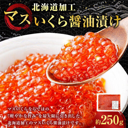 [ 14営業日以内に発送 ] マスいくら 醤油漬け 250g × 1パック いくら いくら醤油漬け 鱒卵 新鮮 海鮮 卵 魚介類 魚介 海鮮 冷凍 魚卵 ご飯のお供
