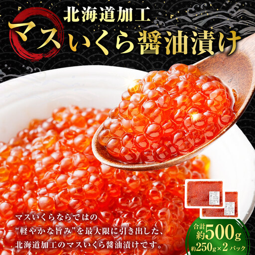 [ 14営業日以内に発送 ] マスいくら 醤油漬け 500g ( 250g × 2パック ) いくら いくら醤油漬け 鱒卵 新鮮 海鮮 卵 魚介類 魚介 海鮮 冷凍 魚卵 ご飯のお供