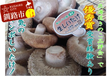 北海道音別産 菌床ジャンボ生しいたけ 280g×2パック しいたけ 椎茸 きのこ 肉厚 菌床しいたけ