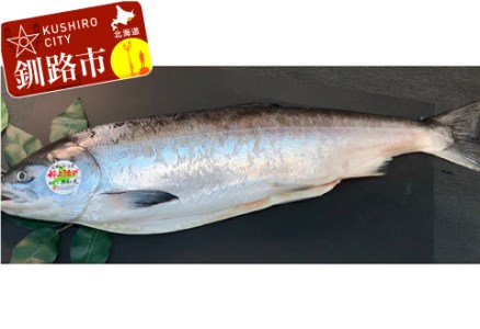 釧路産定置網活じめ時知らず2本（切身） 鮭 トキシラズ 切身 活じめ 釧路 海産物 F4F-1637
