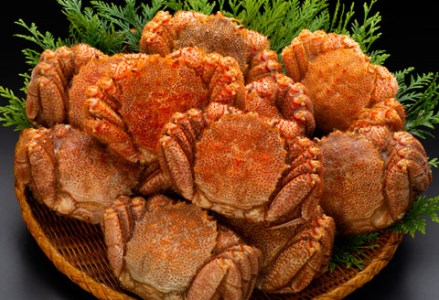 kCYE{Cт10Zbgi4.5kgOj ӂ邳Ɣ[  I F4F-0460