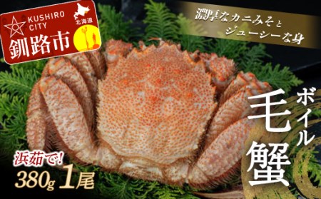 【浜茹で！】ボイル毛ガニ380g（冷凍）×1尾 毛がに カニ F4F-0425