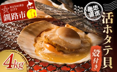 ykC璼!!zktz^eLi4.0kglj12`20 ӂ邳Ɣ[ ق F4F-7718