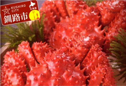 uVv{Cԍ炩(kCY) 2`3@䥂ŏ1.0kg F4F-0678