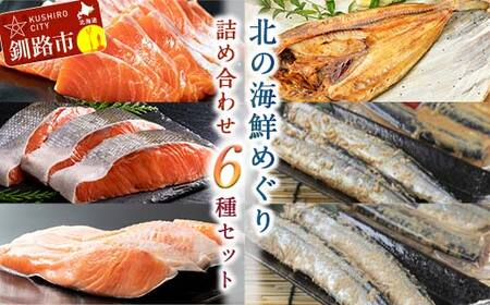 海鮮 詰め合わせ 6種セット 北の海鮮めぐり 鮭 サーモン さんま ほっけ 干物 刺身 紅鮭 銀鮭 開きホッケ セット 海鮮福袋