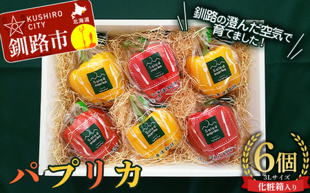 [5月より順次発送] パプリカ 3Lサイズ×6個 野菜 サラダ 北海道野菜 生野菜 旬 冷蔵 北海道 ピーマン 甘い 送料無料 贈答 ギフト