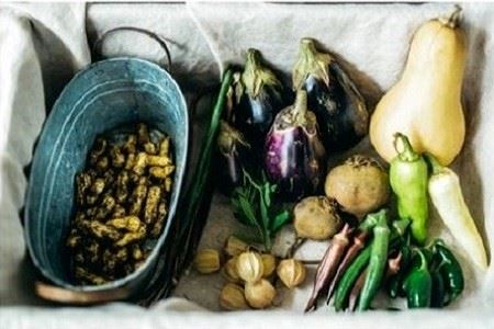 農家キレド季節野菜の詰め合わせ / 旬 野菜 詰合せ セット