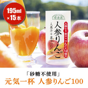 砂糖不使用 人参りんご 195g×15本 順造選｜無添加 無塩 健康 にんじん リンゴ ジュース ドリンク カロテン 長期保存 [0282ch]