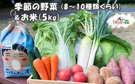 季節の詰合せ 野菜の宝箱 (お米5kg入り)|新鮮 旬 採れたて やさい 米 詰め合わせ セット 産地直送 千葉 房総 袖ケ浦 [0377ch]
