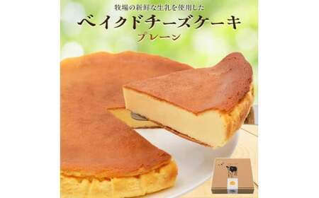 奥野牧場ベイクドチーズケーキ ホール (大) プレーン|チーズ ケーキ スイーツ ミルク 牧場 ギフト お祝い 袖ケ浦 [0226]