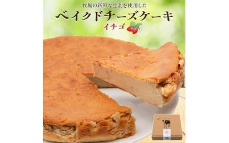 奥野牧場ベイクドチーズケーキ ホール (大) イチゴ|チーズ ケーキ スイーツ フルーツ ミルク 牧場 ギフト お祝い 袖ケ浦 [0491]