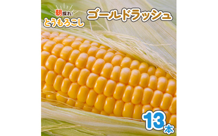 朝採れとうもろこし ゴールドラッシュ 13本入 [0734]