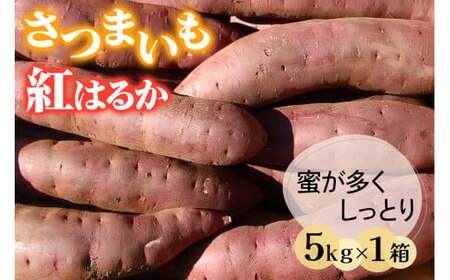 さつまいも (紅はるか) 5kg 奥野農園|農家 直送 サツマイモ スイーツ 野菜 しっとり ホクホク 焼き芋 やきいも 料理 袖ケ浦 千葉 [0421ch]