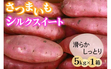 さつまいも (シルクスイート) 5kg 奥野農園|農家 直送 サツマイモ スイーツ 野菜 しっとり ホクホク 焼き芋 やきいも 料理 袖ケ浦 千葉 [0422ch]