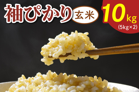 令和7年度産 袖ぴかり[玄米]10kg (5kg×2)|米 おこめ こしひかり コシヒカリ 直送 推奨米 袖ケ浦 千葉 [0517]