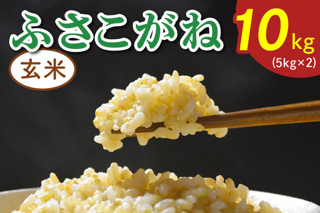 令和7年度産 ふさこがね[玄米]10kg (5kg×2)|米 おこめ もっちり 弁当 袖ケ浦 千葉 [0519]