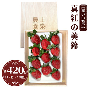[予約受付] 真紅の美鈴[黒いいちご]約420g 大粒 12粒から18粒入り|イチゴ 苺 果物 フルーツ [0632]