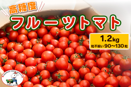 高糖度[フルーツトマト]1.2kg (粒不揃い90粒から130粒) トマト好きさんも唸る美味しさ!|甘い ミニトマト プチトマト 野菜 サラダ 産地直送 房総 千葉 袖ケ浦 [0650]