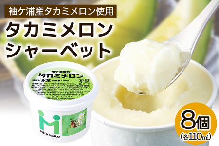 完熟 タカミメロンシャーベット 8個 アイス スイーツ メロン [0722]