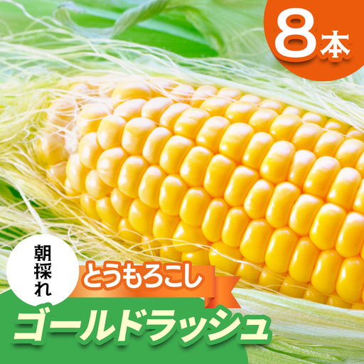 [期間限定]朝採れ とうもろこし ゴールドラッシュ 平安山農園[6月発送] [0731]