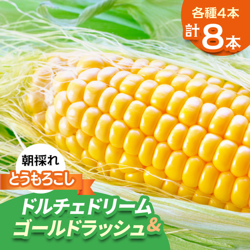 [期間限定]朝採れ とうもろこし ドルチェドリーム&ゴールドラッシュ 平安山農園[6月発送] [0732]