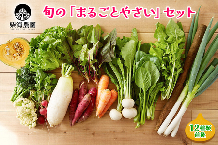 柴海農園 旬の「まるごとやさい」セット (12種類前後) [0222]