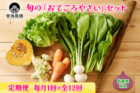[定期便 毎月12回お届け] 柴海農園 旬の「おてごろやさい」セット (8種類前後) [0226]
