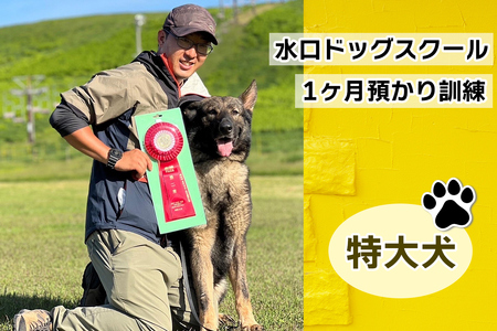 水口ドッグスクール 1ヶ月預かり訓練 (特大犬)|犬 しつけ レッスン トレーニング 長期 合宿 お泊り 競技 飼い主 印西 千葉 [0505]