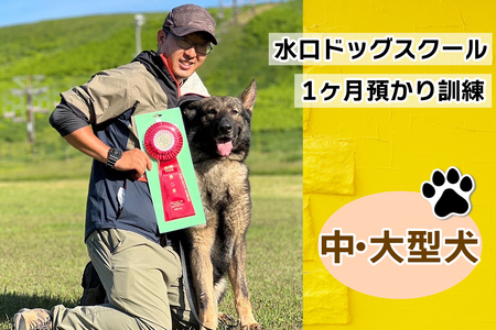 水口ドッグスクール 1ヶ月預かり訓練 (中・大型犬)|犬 しつけ レッスン トレーニング 長期 合宿 お泊り 競技 飼い主 印西 千葉 [0506]