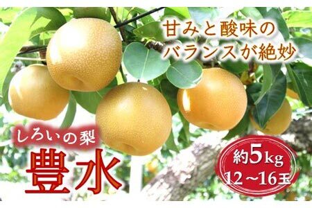 [予約受付]しろいの梨 豊水 5kg 12〜16玉