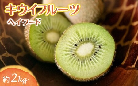 キウイフルーツ 15〜17個 約2kg ヘイワード ジューシー 熟成 食べ頃 果物