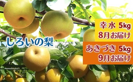 [先行予約]しろいの梨2品種セット 幸水とあきづき 各5kg