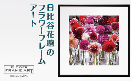 日比谷花壇のフラワーフレームアート Metropolitan Dahlias(メトロポリタンのダリア) ソフケン アルミフレーム 25x25cm アートポスター ポスターフレーム 花 インテリア おしゃれ 花 植物 贈り物 プレゼント ギフト 軽量 ボタニカルアート フラワーアート 癒し空間