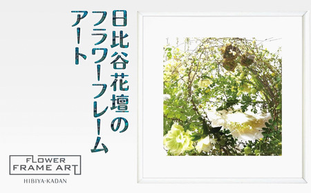 日比谷花壇のフラワーフレームアート Luxuriant Verdure Vision(豊かな緑の光景) ソフケン アルミフレーム 25x25cm アートポスター ポスターフレーム 花 インテリア おしゃれ 花 植物 贈り物 プレゼント ギフト 軽量 ボタニカルアート フラワーアート 癒し空間