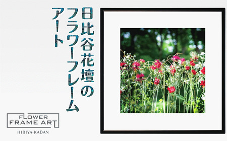 日比谷花壇のフラワーフレームアート Sunlit Bloom(陽光満開) ソフケン アルミフレーム 25x25cm アートポスター ポスターフレーム 花 インテリア おしゃれ 花 植物 贈り物 プレゼント ギフト 軽量 ボタニカルアート フラワーアート 癒しの空間