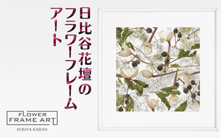 日比谷花壇のフラワーフレームアート Timeless Whispers(永遠のささやき) ソフケン アルミフレーム 25x25cm アートポスター ポスターフレーム 花 インテリア おしゃれ 花 植物 贈り物 プレゼント ギフト 軽量 ボタニカルアート フラワーアート 癒し空間