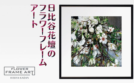日比谷花壇のフラワーフレームアート Nature's Drapery(自然のカーテン) ソフケン アルミフレーム 25x25cm アートポスター ポスターフレーム 花 インテリア おしゃれ 花 植物 贈り物 プレゼント ギフト 軽量 ボタニカルアート フラワーアート 癒し空間