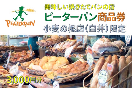 焼きたてパン 商品券 ピーターパン 小麦の根店 3,000円分 パン 焼き立て 美味しいパン屋 カレーパングランプリ東日本揚げカレーパン部門6年連続金賞受賞 1日の販売数世界記録達成メロンパン あんぱん クリームパン 食パン 塩パン 総菜パン