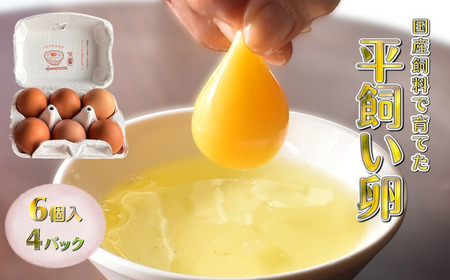 平飼い卵 6個入 4パック 新鮮たまご 産卵後2日以内に発送 養鶏場直送 新鮮 生卵 卵かけご飯 平飼い 赤玉 濃厚 鶏卵 栄養 甘み