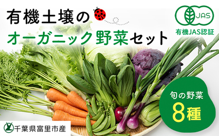 有機土壌で作る旬のオーガニック野菜セット(8品)TMT001 / 有機野菜 オーガニック