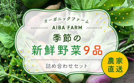 [栽培期間中農薬不使用]農家直送!季節の新鮮野菜「9品」詰め合わせセット オーガニックファーム AIBA FARM TML001 / 野菜セット 千葉県 富里市 直送 お 旬 季節 農家 採れたて とれたて やさい 詰め合わせ ヤサイ 旬の 産地直送 おまかせ 新鮮 オーガニック 農薬不使用 