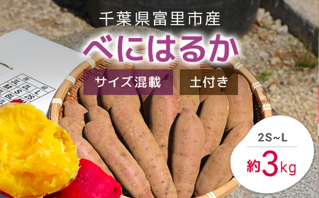 [2024年11月以降発送]千葉県富里市産 べにはるか 3kg サイズ混載 土付き TMH003 / さつまいも サツマイモ 紅はるか べにはるか おさつ 甘藷 唐いも あまい 甘い スイーツ スイート ポテト おやつ 焼き芋 千葉県 富里市