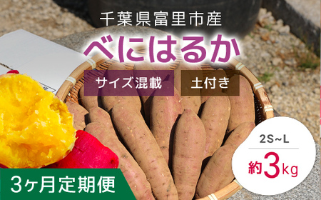 [2024年11月以降発送][3か月定期便]千葉県富里市産 べにはるか 3kg サイズ混載 土付き TMH008 / さつまいも サツマイモ 紅はるか べにはるか おさつ 甘藷 唐いも あまい 甘い スイーツ スイート ポテト おやつ 焼き芋 定期便 定期 千葉県 富里市