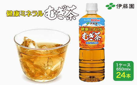 yɓzN~lނ 1P[Xi650ml×24{j  ɓ ybg{g  650ml    퉷 퉷ۑ TMP009