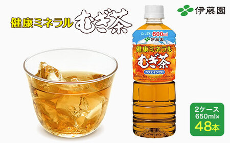 yɓzN~lނ 2P[Xi650ml×48{j ɓ ybg{g  650ml    퉷 퉷ۑ TMP013